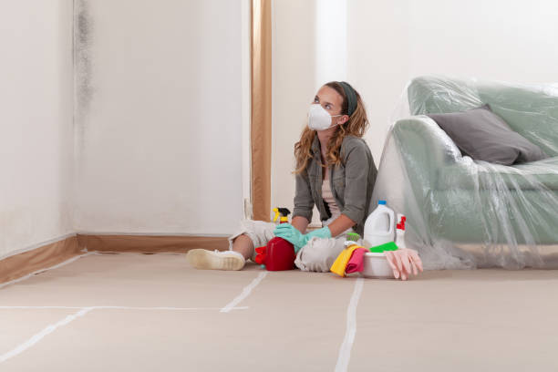 Reliable Bathroom Mold Removal contractor in Woodridge, IL by Mold Remediation HQ